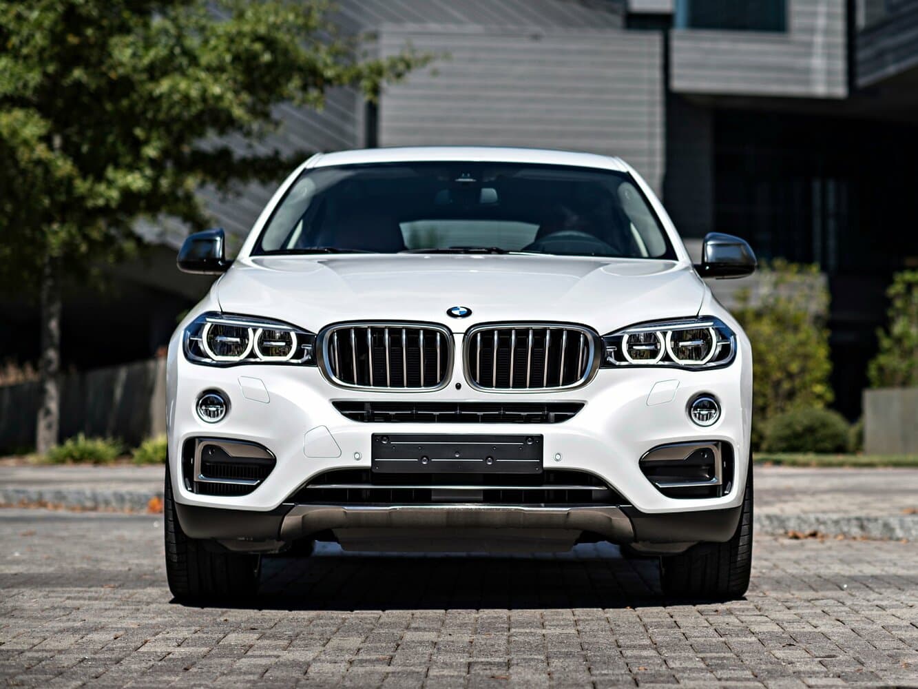 BMW X6 II (F16) Внедорожник 5 дв., фото 3