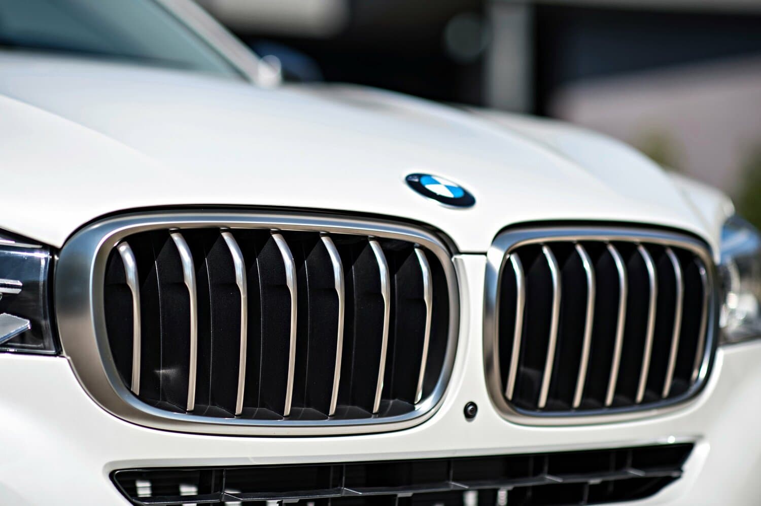 BMW X6 II (F16) Внедорожник 5 дв., фото 19