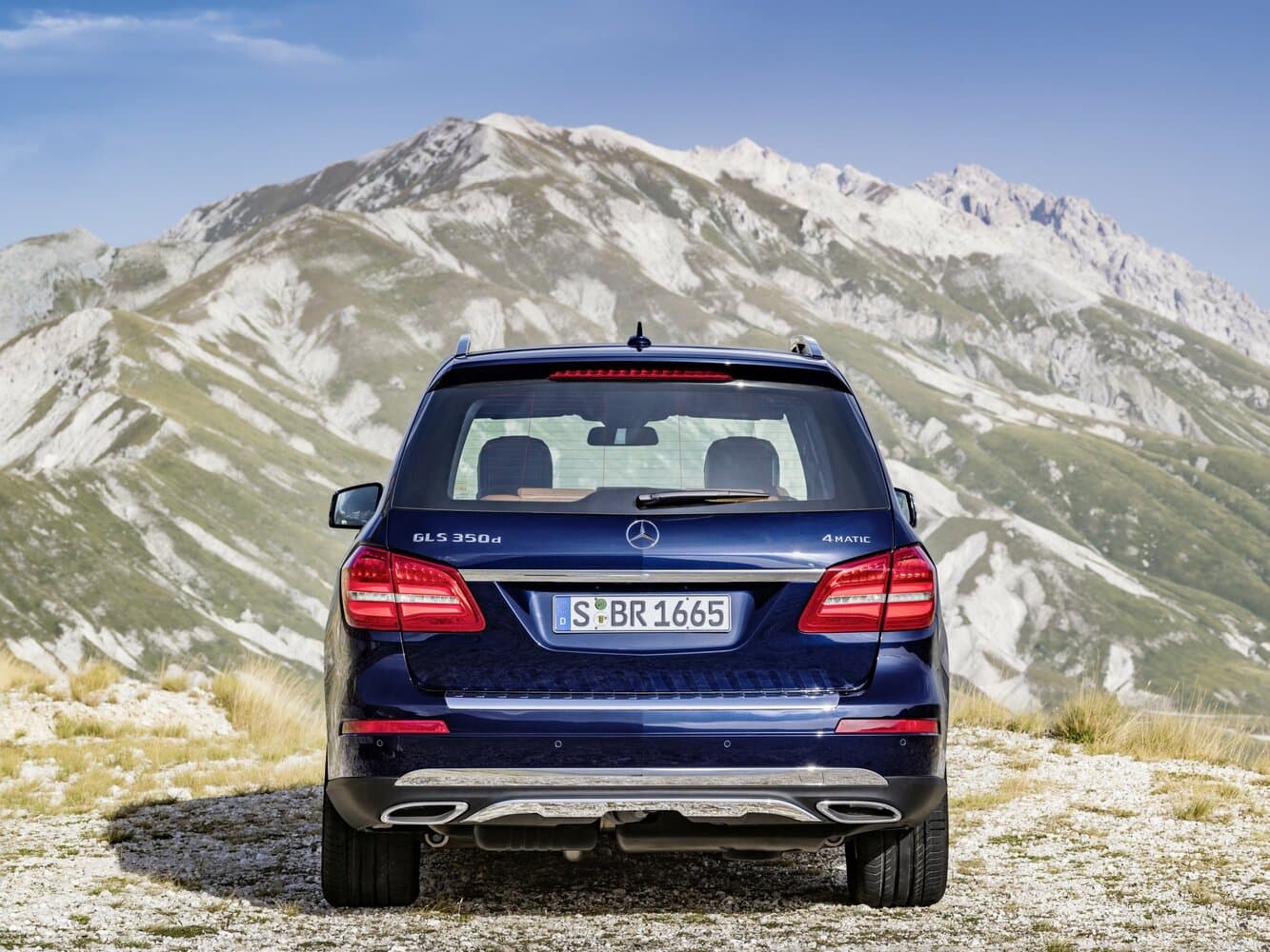 Mercedes-Benz GLS I (X166) Внедорожник 5 дв., фото 4