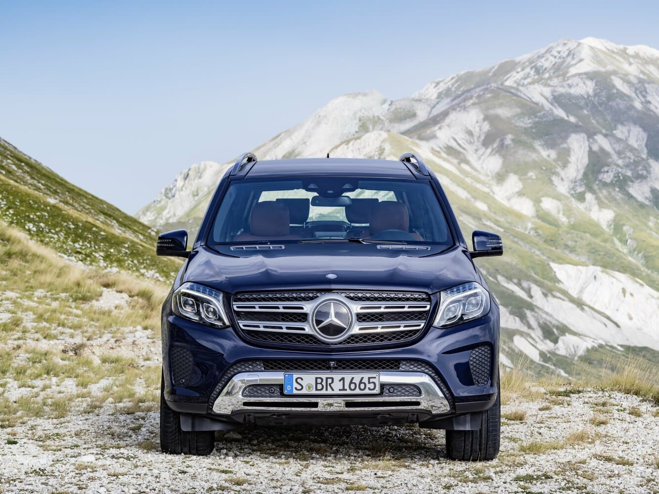 Mercedes-Benz GLS I (X166) Внедорожник 5 дв., фото 3