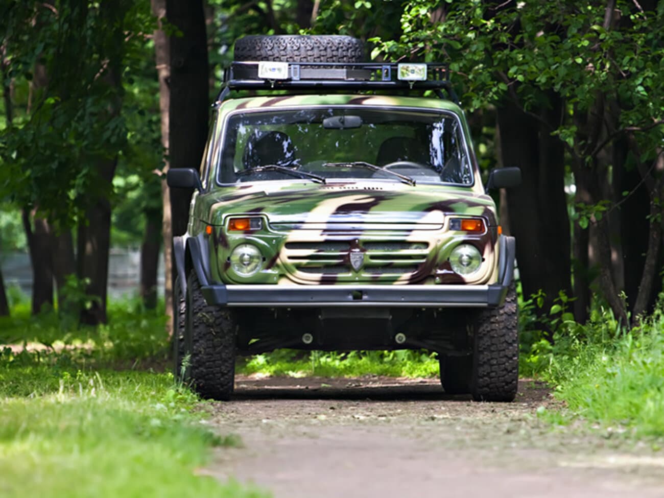 Lada (ВАЗ) 2121 (4x4) I Рестайлинг Внедорожник 3 дв. Рысь, фото 3