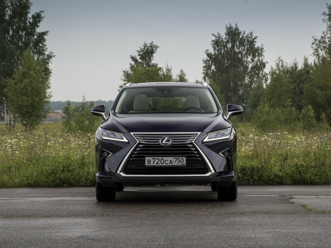 Lexus RX IV Внедорожник 5 дв. L, фото 14