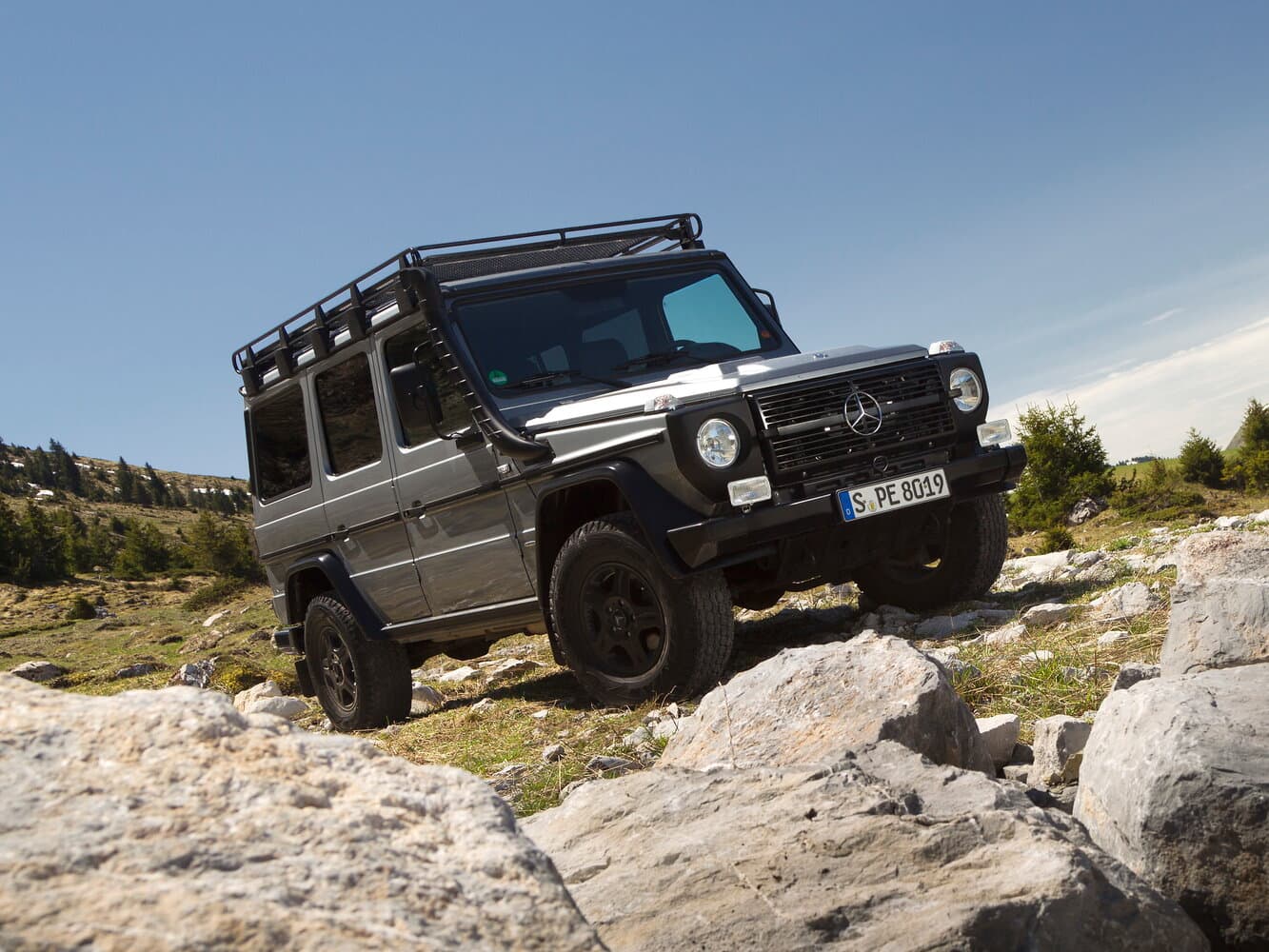 Mercedes-Benz G-Class I (W461) Professional