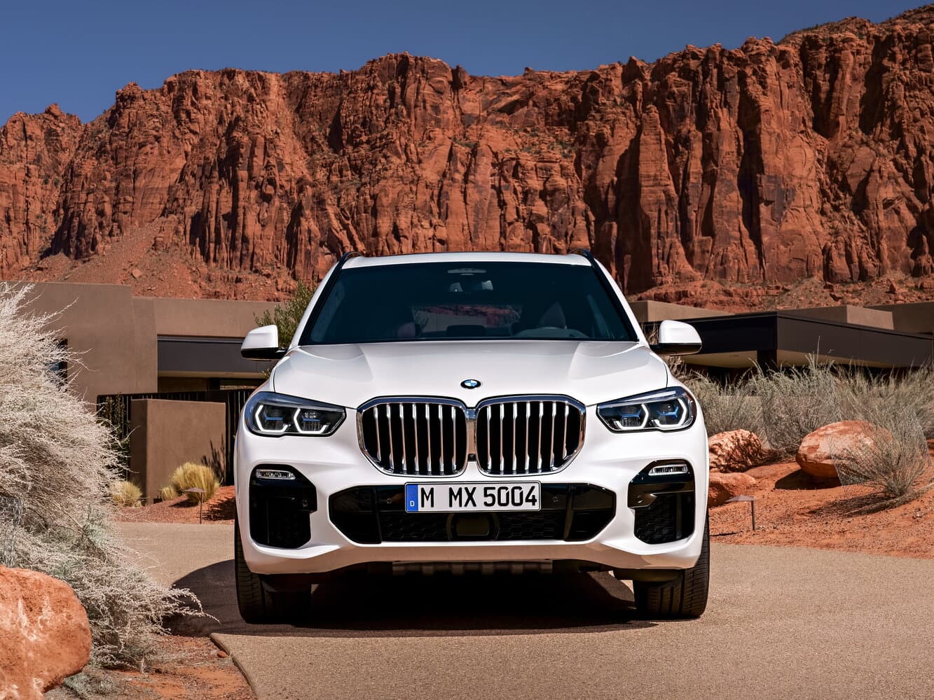 BMW X5 IV (G05/G18) Внедорожник 5 дв., фото 3