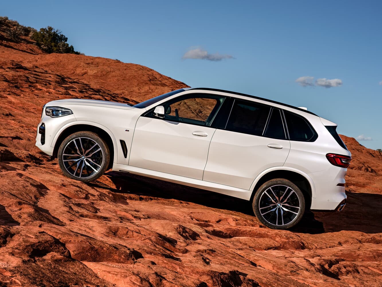 BMW X5 IV (G05/G18) Внедорожник 5 дв., фото 2