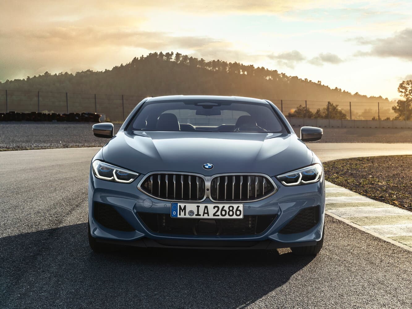 BMW 8 series II (G14/G15/G16) Купе, фото 3