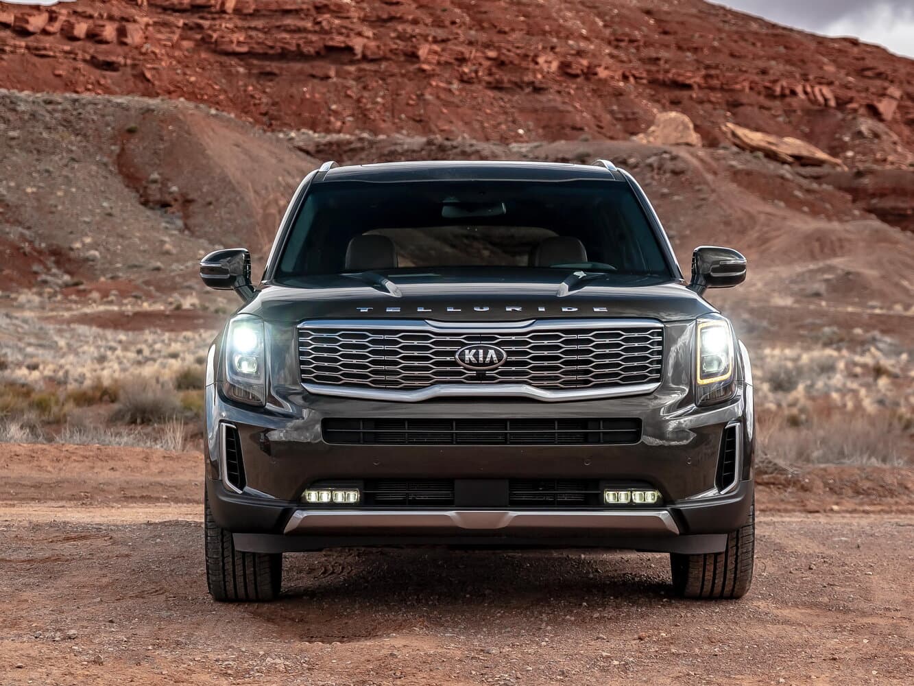 Kia Telluride I Внедорожник 5 дв., фото 3