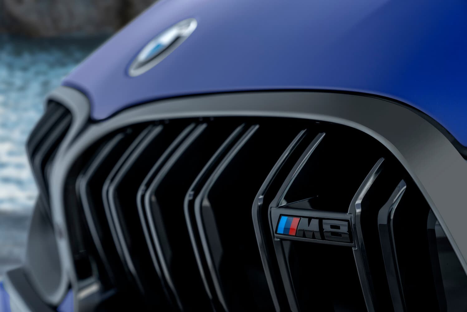 BMW M8 I (F91/F92/F93) Купе, фото 15