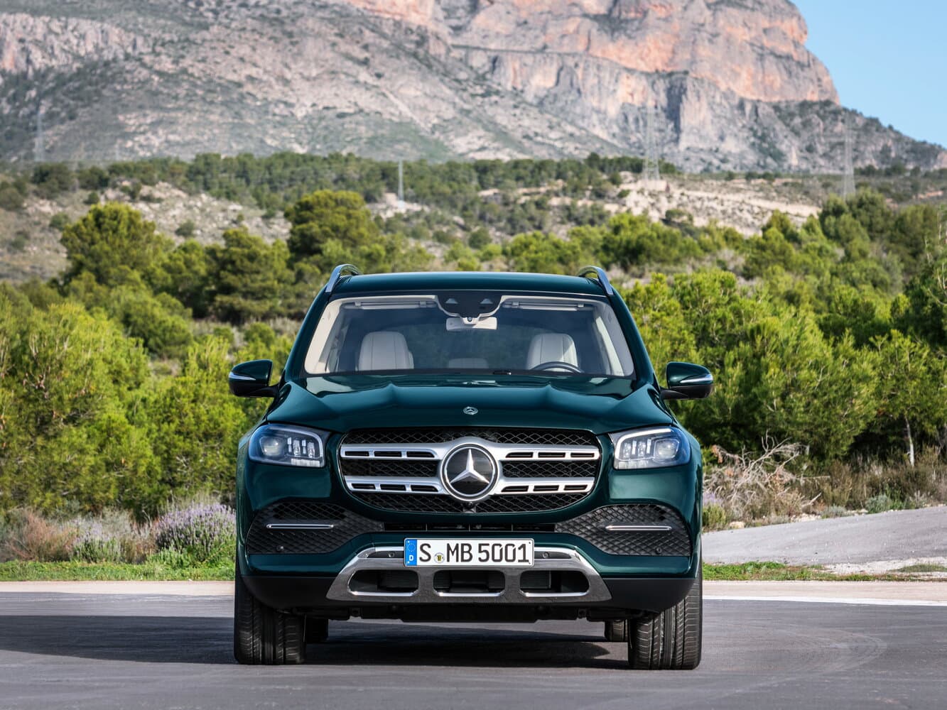 Mercedes-Benz GLS II (X167) Внедорожник 5 дв., фото 3