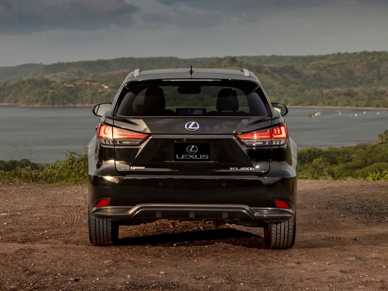 Lexus RX IV Рестайлинг Внедорожник 5 дв., фото 4