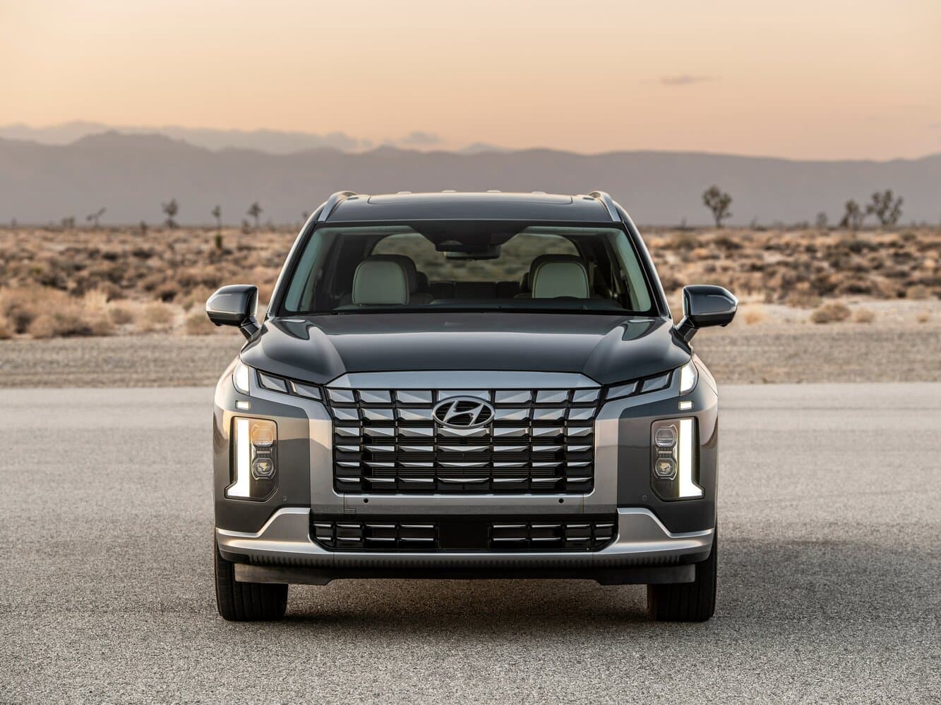 Hyundai Palisade I Рестайлинг Внедорожник 5 дв., фото 3