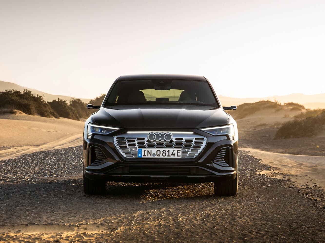 Audi, Q8 Sportback e-tron, 2022, фото 14