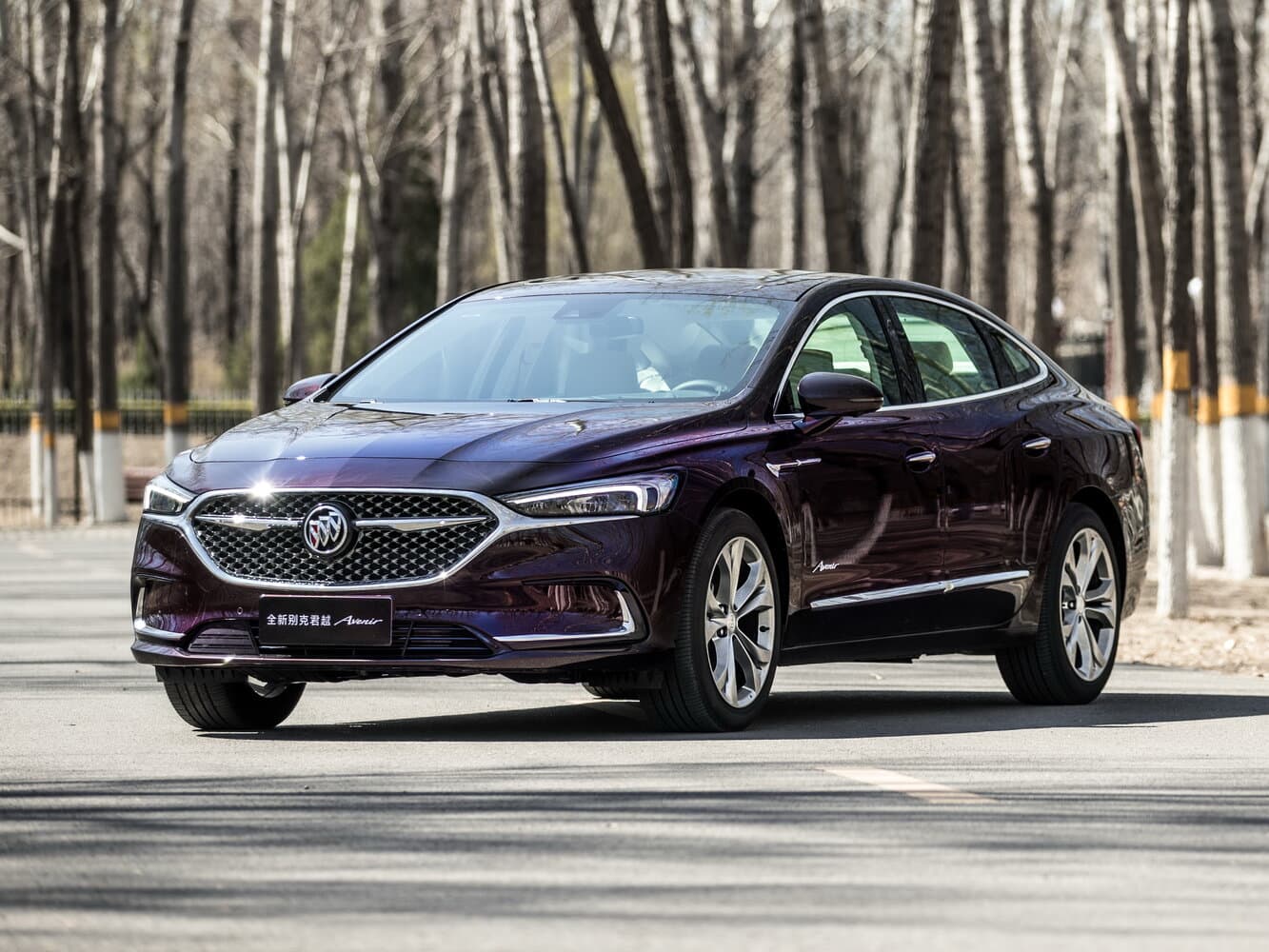 Buick, LaCrosse, III Рестайлинг, 2021, фото 13
