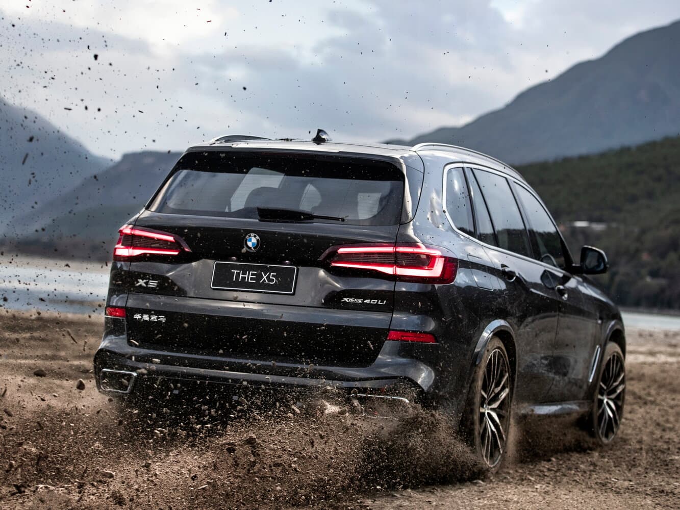 BMW X5 IV (G05/G18) Внедорожник 5 дв. Long, фото 5