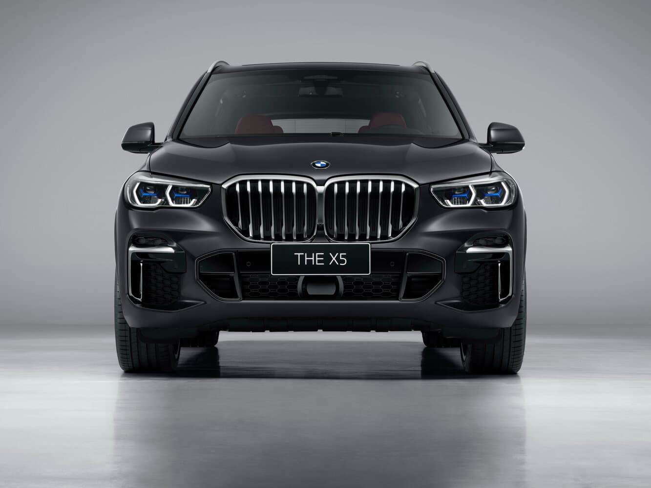 BMW X5 IV (G05/G18) Внедорожник 5 дв. Long, фото 3