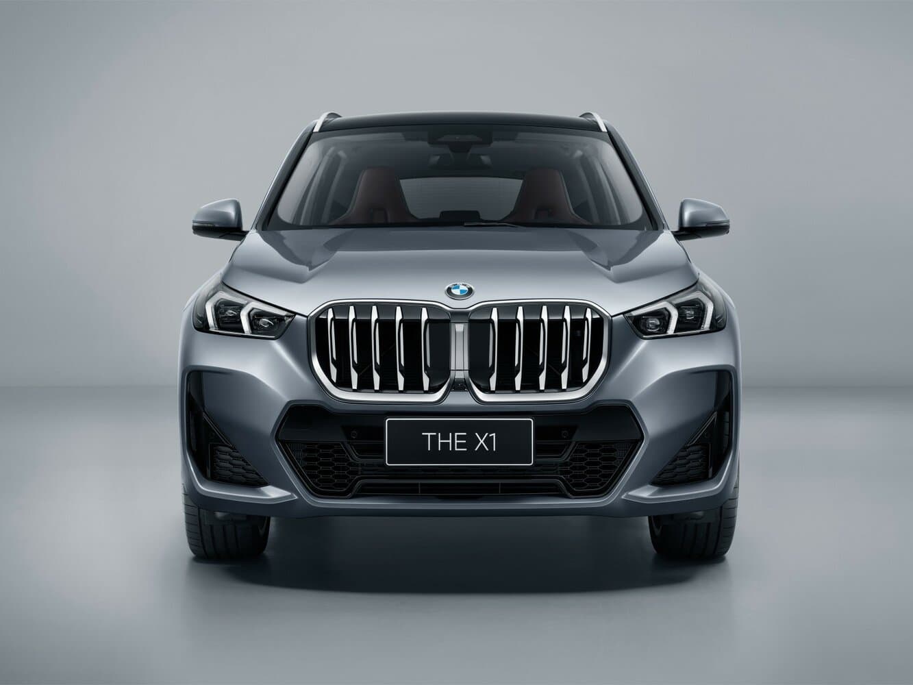 BMW X1 III (U11/U12) Внедорожник 5 дв. Long, фото 3
