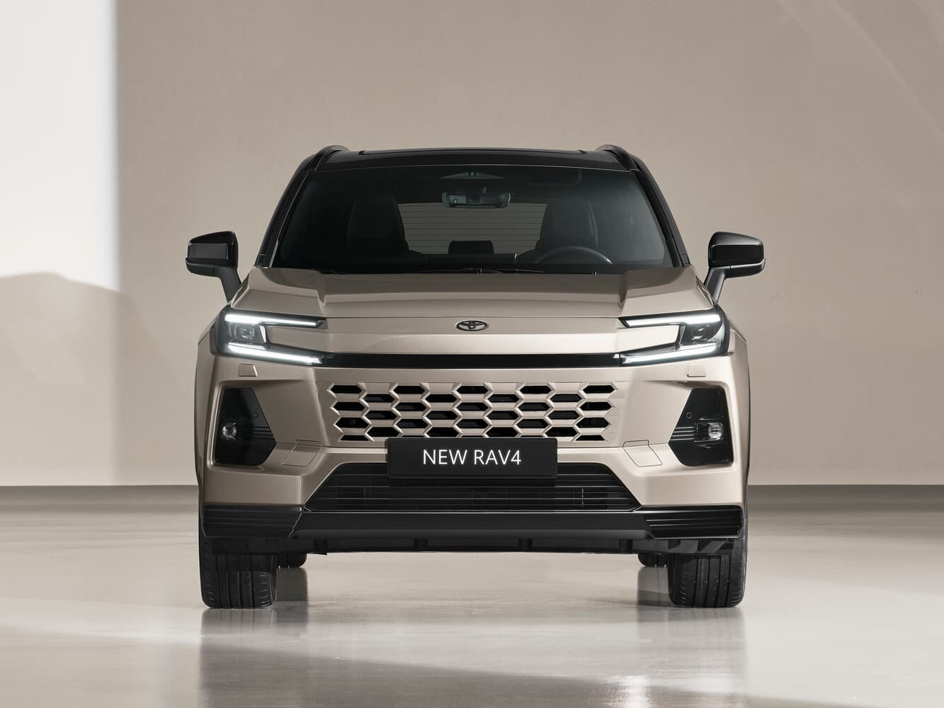 Toyota RAV4 VI (XA60) Внедорожник 5 дв., фото 3