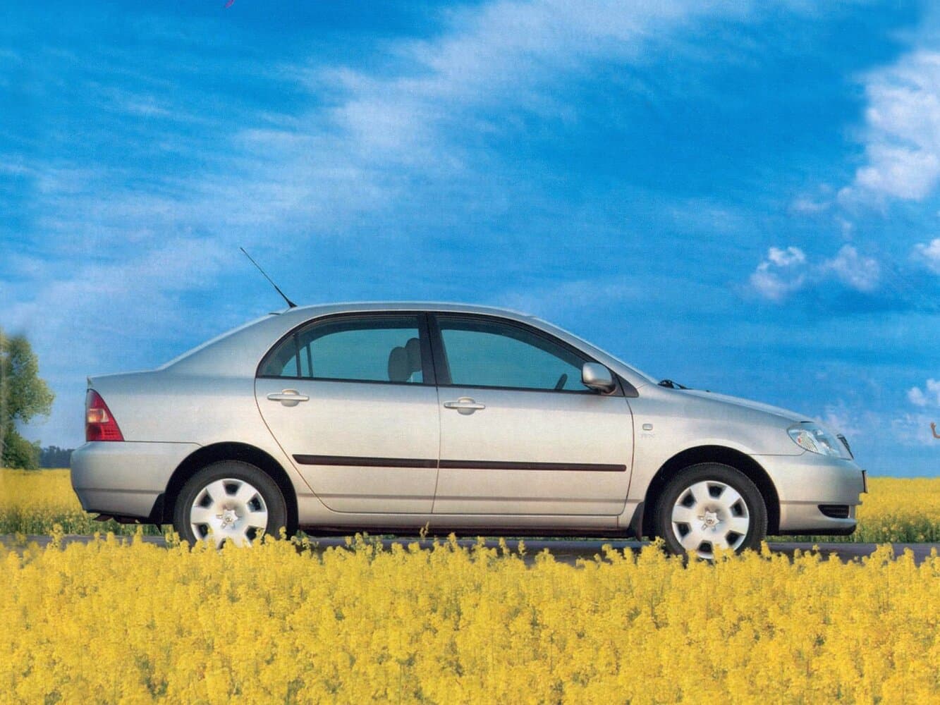 Toyota Corolla IX (E120, E130) Седан, фото 2