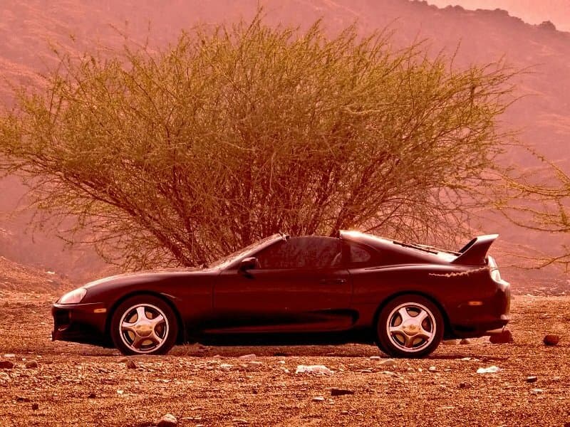 Toyota Supra IV (A80) Рестайлинг Купе, фото 2