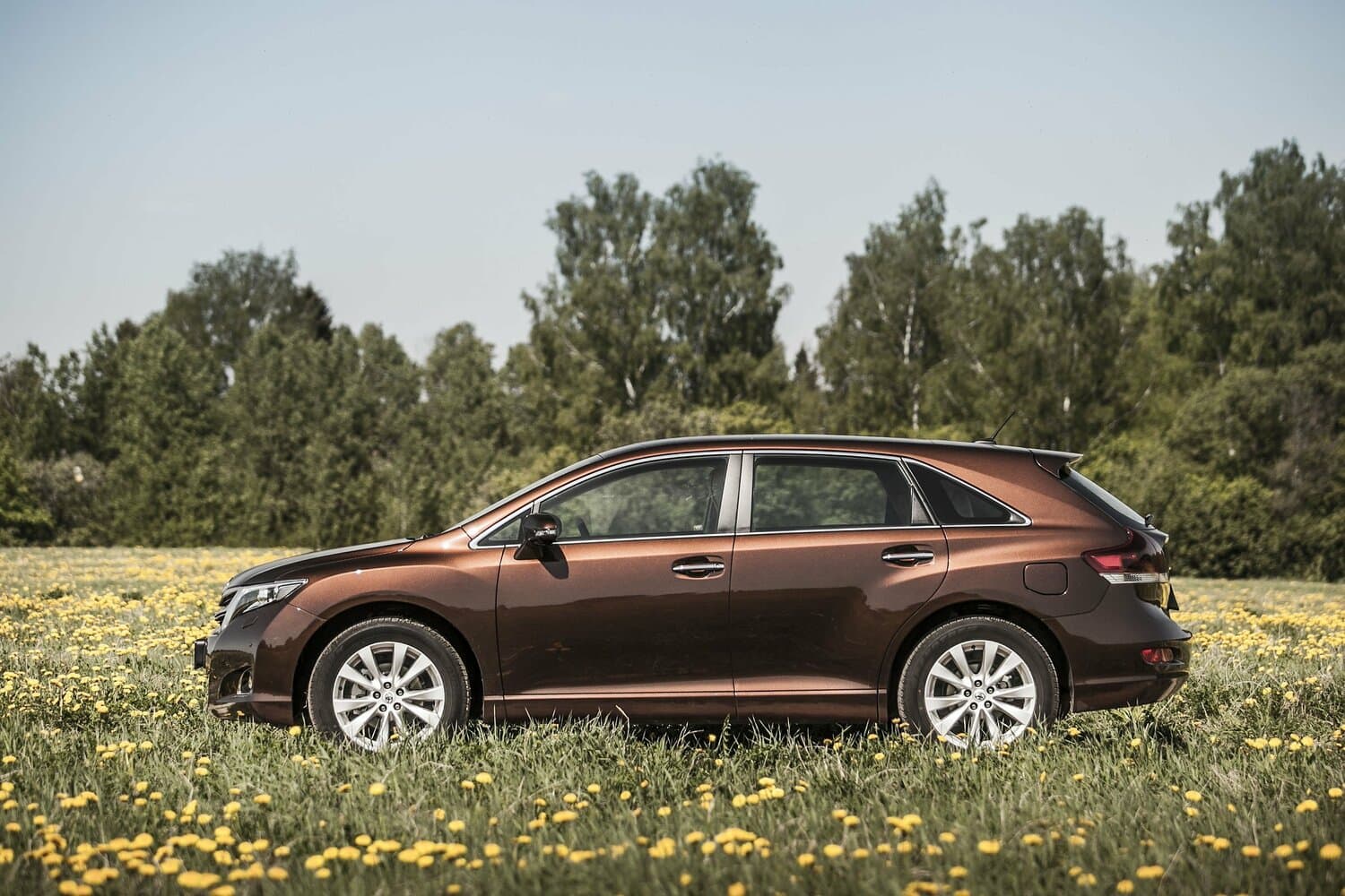 Toyota Venza I Рестайлинг Внедорожник 5 дв., фото 16