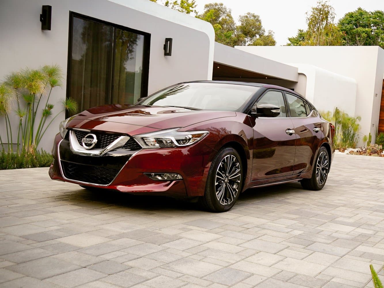 Nissan, Maxima, VIII (A36), 2017, фото 19