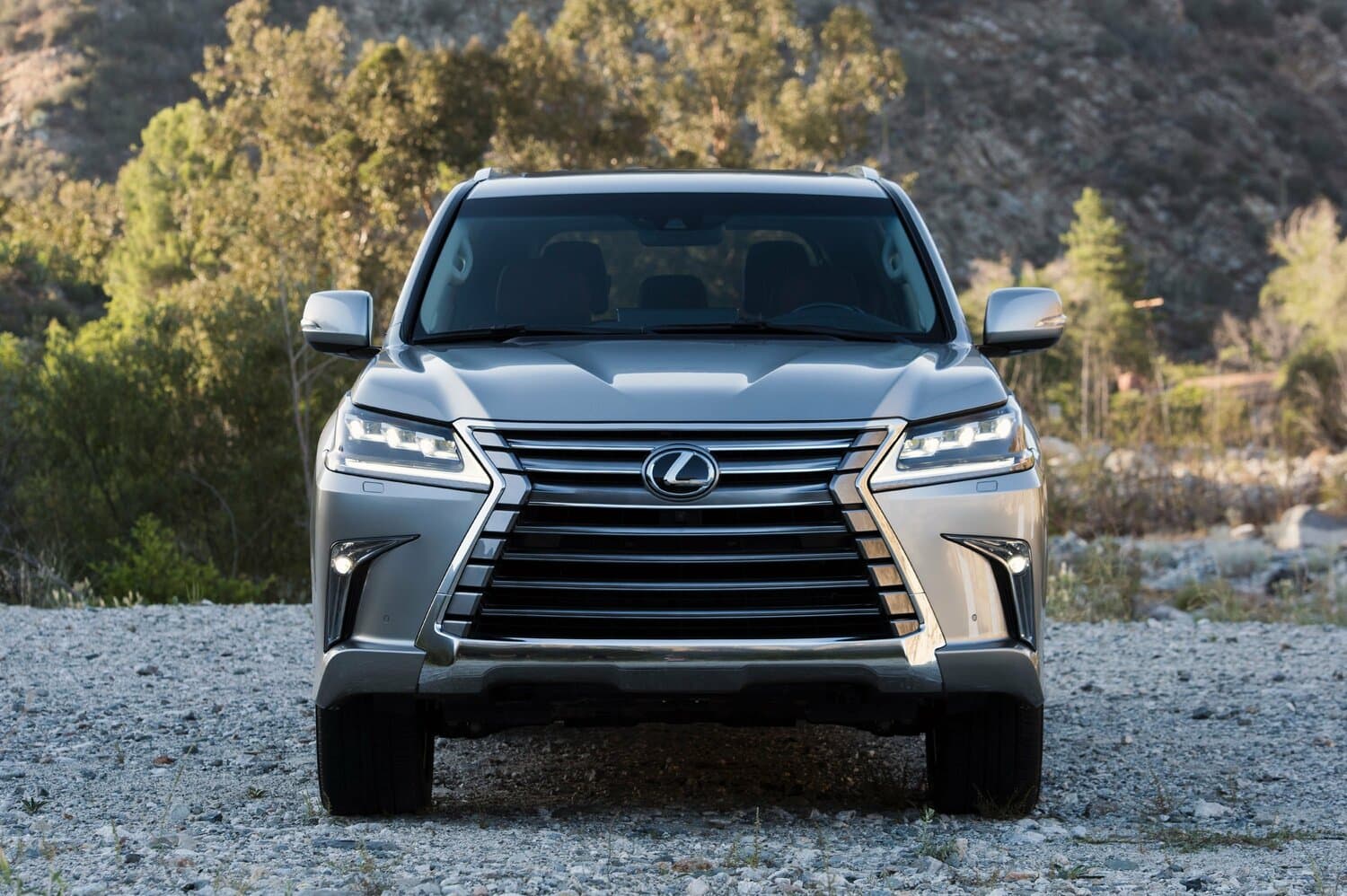 Lexus LX III Рестайлинг 2 Внедорожник 5 дв., фото 3