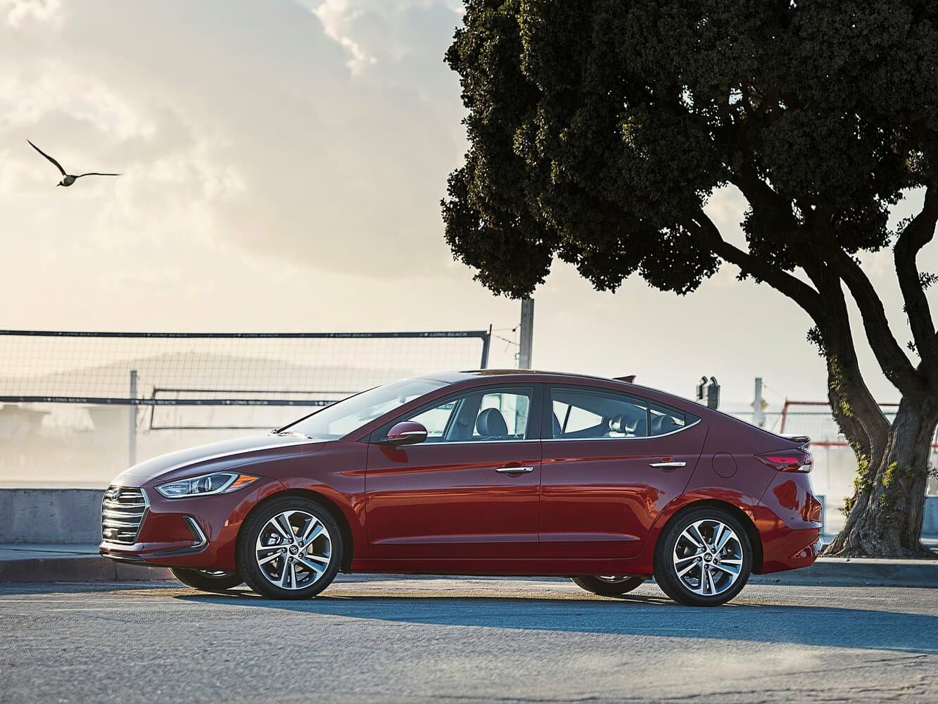 Hyundai Elantra VI (AD) Седан, фото 2