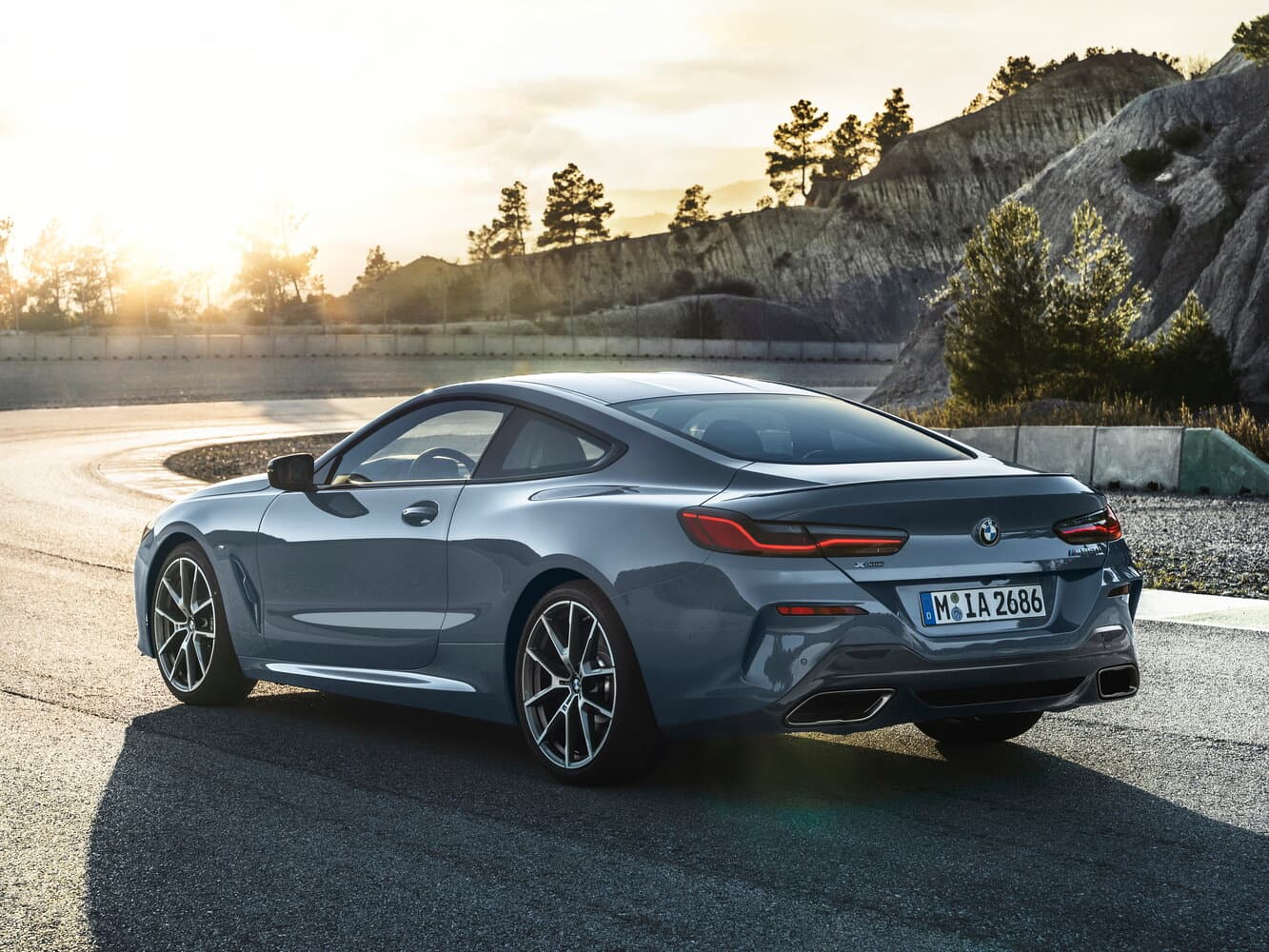 BMW 8 series II (G14/G15/G16) Купе, фото 5