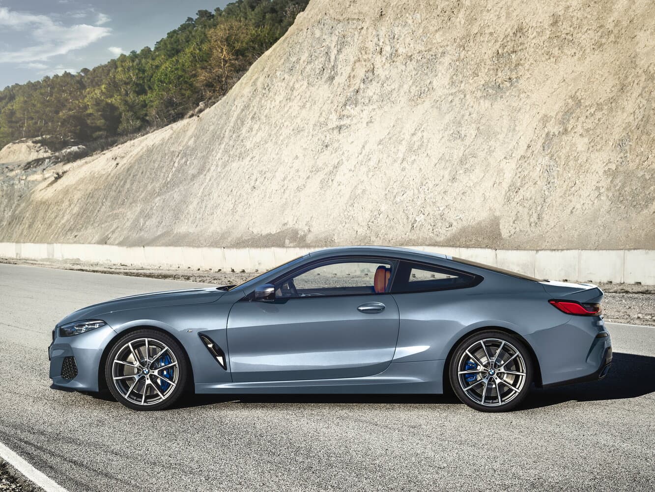 BMW 8 series II (G14/G15/G16) Купе, фото 2