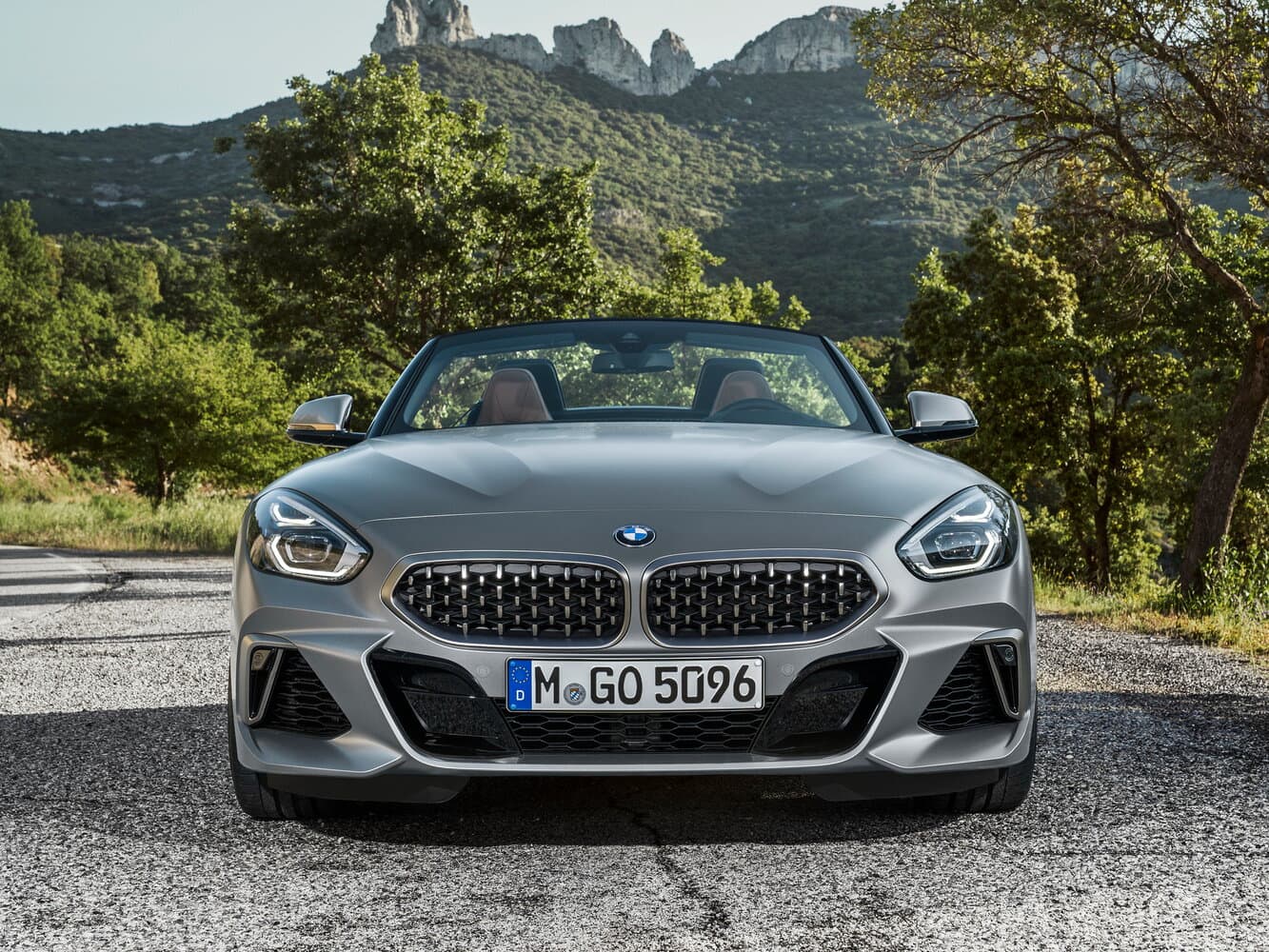 BMW Z4 III (G29) Родстер, фото 3