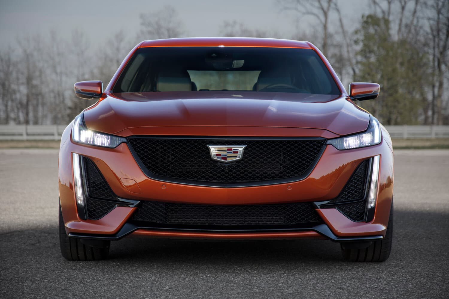 Cadillac, CT5-V, I, 2024, фото 4