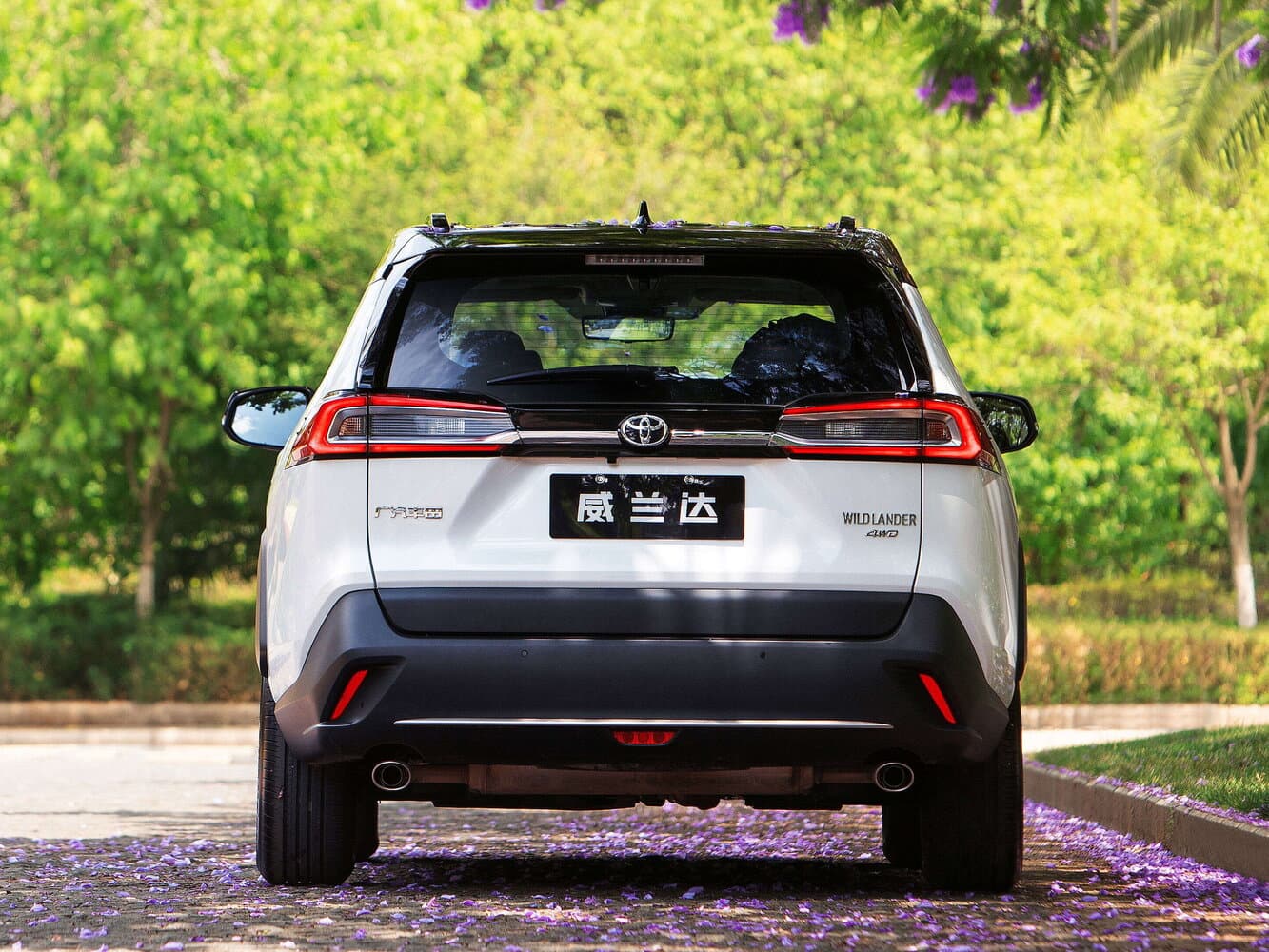 Toyota Wildlander Внедорожник 5 дв., фото 4
