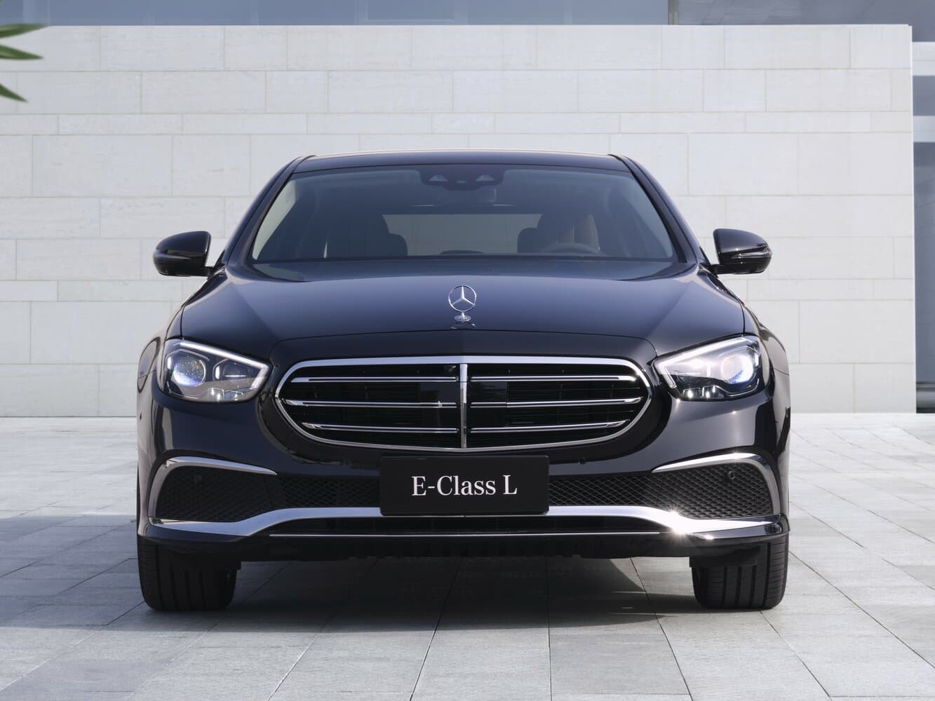 Mercedes-Benz E-Class V (W213, S213, C238) Рестайлинг Седан L, фото 3