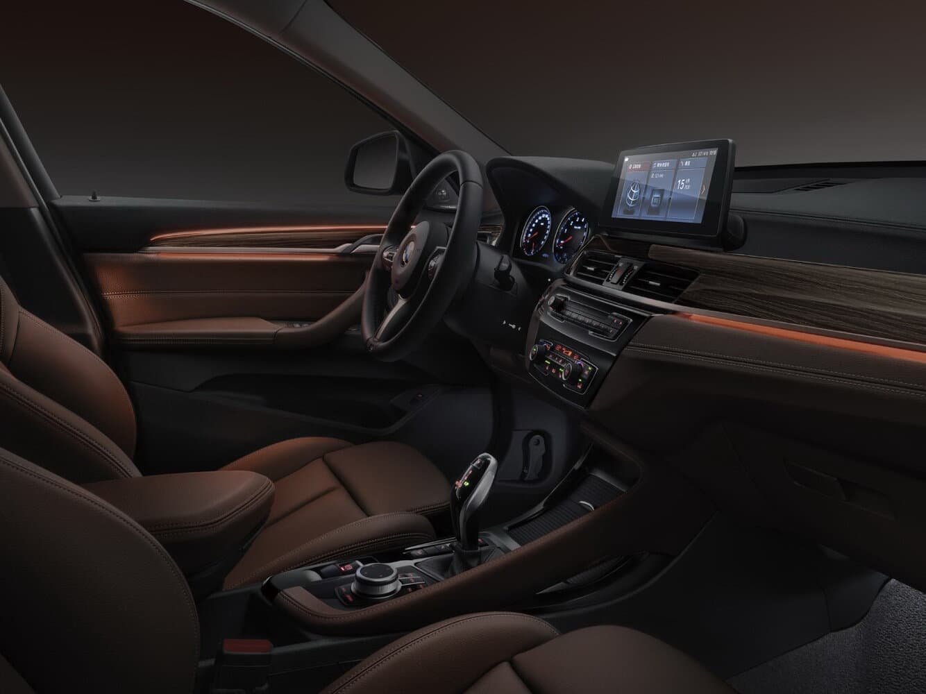 BMW X1 II (F48) Рестайлинг Внедорожник 5 дв. Long, фото 4