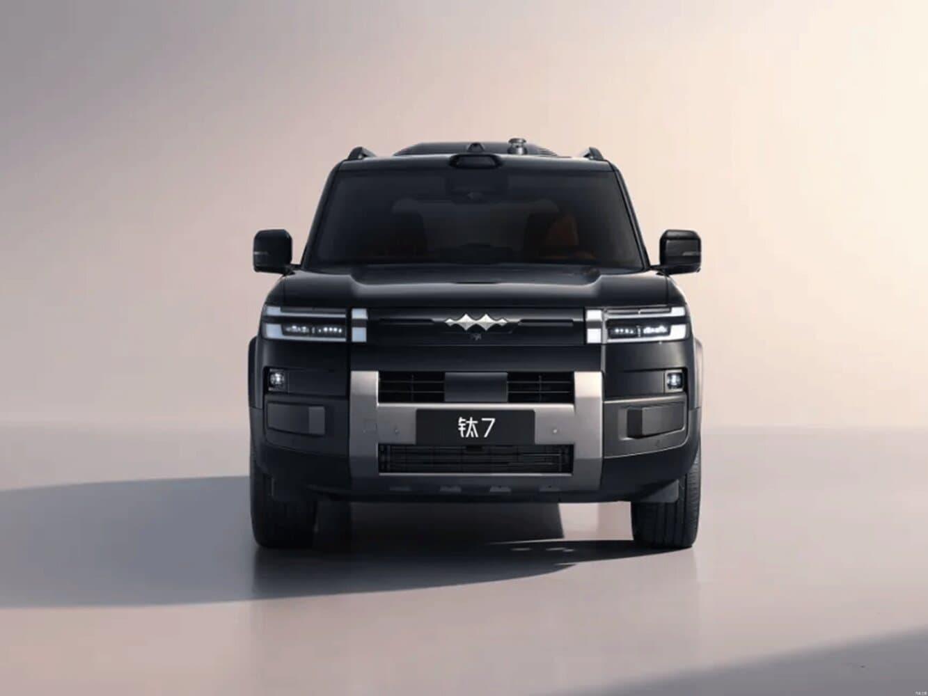 BYD FangChengBao Titanium 7 Внедорожник 5 дв., фото 3